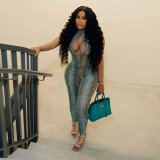 Snake Print Sexy Hollow Out Skinny Jumpsuit GSLF-K25Q70382