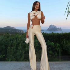 Sexy Hollow Out Solid Color Two Piece Pants Set GSLF-K24S67510