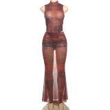 Mesh Print Sleeveless Two Piece Skirt Set DLSF-K25S74930
