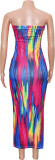 Colorful Print Off Shoulder Tube Tops Dress SH-S390584