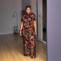 Casual Lapel Printed Short Sleeve Two Piece Pants Set NY-11102