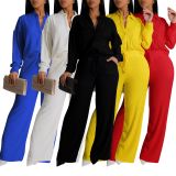Solid Color Long Sleeve Pleated Two Piece Pants Set AIL-325