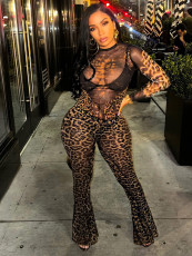 Leopard Print Long Sleeve Two Piece Pants Set SHD-9729