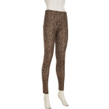 Leopard Print Long Sleeve Knits Two Piece Pants Set GPKJ-KJ23571