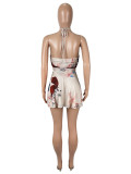 Mesh Print Halterneck Tops Two Piece Skirts Set SHD-9772