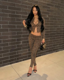 Leopard Print Long Sleeve Knits Two Piece Pants Set GPKJ-KJ23571