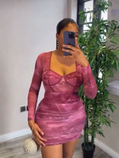 Mesh See Through Pleated Mini Dress GMYU-8568