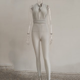 Tie Up Sexy Deep V Neck Jumpsuit JHYB-9018