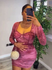 Mesh See Through Pleated Mini Dress GMYU-8568