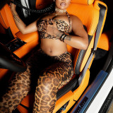 Leopard Print Wrap Chest Tops Pants Suit SHD-9759