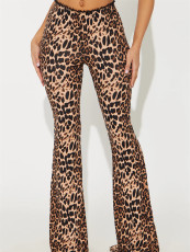 Leopard Print Lace Patchwork Pant GXIY-XS-L45383