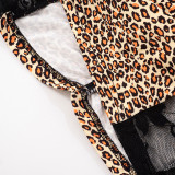 Leopard Print Lace Patchwork Mini Dress GDSF-D25DS259