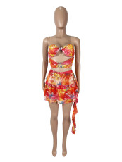 Sexy Print Wrap Chest And Skirts 2 Piece Set SHD-9766
