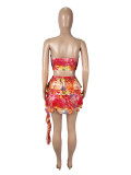Sexy Print Wrap Chest And Skirts 2 Piece Set SHD-9766