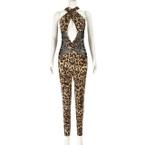Mesh Patchwork Leopard Print Jumpsuit GBTF-11242JHR