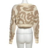 Long Sleeve V Neck Knits Sweater GZJQ-W23C33160