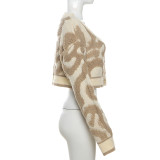 Long Sleeve V Neck Knits Sweater GZJQ-W23C33160