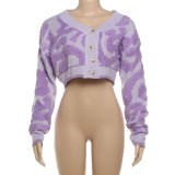 Long Sleeve V Neck Knits Sweater GZJQ-W23C33160