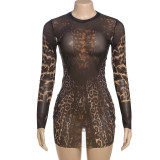 Mesh See Through Long Sleeve Mini Dress GZJQ-K24D59910
