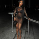 Mesh See Through Long Sleeve Mini Dress GZJQ-K24D59910