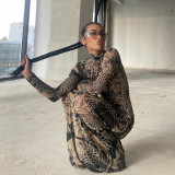 Mesh Print See Through Long Sleeve Maxi Dress DLSF-K23D33779