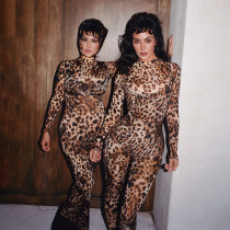 Leopard Print Long Sleeve Tight Jumpsuit DLSF-K24Q59682