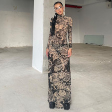 Mesh Print See Through Long Sleeve Maxi Dress DLSF-K23D33779