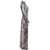 Mesh Print See Through Long Sleeve Maxi Dress DLSF-K23D33779