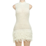 Sleeveless Tassel Patchwork Mini Dress DLSF-W24D52435