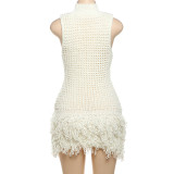 Sleeveless Tassel Patchwork Mini Dress DLSF-W24D52435