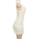 Sleeveless Tassel Patchwork Mini Dress DLSF-W24D52435