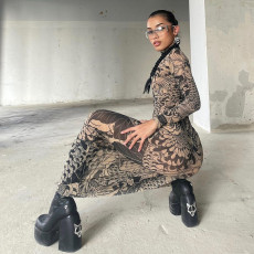 Mesh Print See Through Long Sleeve Maxi Dress DLSF-K23D33779