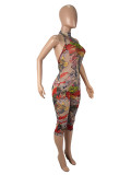 Mesh Floral Print Tight Backless Jumpsuit SHD-9540