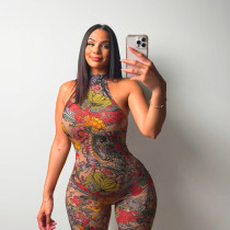 Mesh Floral Print Tight Backless Jumpsuit SHD-9540