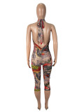 Mesh Floral Print Tight Backless Jumpsuit SHD-9540