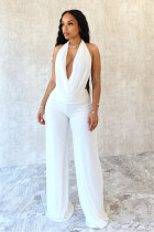 Halterneck Backless Solid Mesh Pants Suit SHD-9541