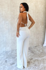 Halterneck Backless Solid Mesh Pants Suit SHD-9541
