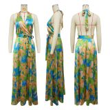 V Neck Print Backless Satin Maxi Dress YF-20163