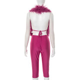 Furry Neck  Halterneck Backless Two Piece Pants Set  MXBF-D25ST247