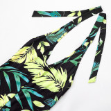 Print V Neck Halterneck Backless Jumpsuit MXBF-J25JP105