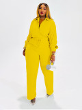 Solid Color Long Sleeve Pleated Shirt Pants Suit SFY-775