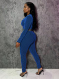 Long Sleeve Zipper Two Piece Pants Set SH-391355