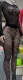 Pre Order: About 7 work days shipping Mesh Long Sleeve Pants Suit YUEM-300812