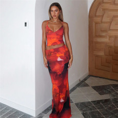 Print Sling Tops Ang Long Skirts Two Piece Set XEF-K24S44108