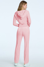 Solid Color Zipper Hooded Two Piece Pants Set YD-YM023