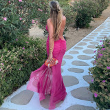 Sexy Backless Tie Up Mesh Maxi Dress XEF-K25D76298