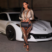 Snake Print Skinny Bodysuit Pants Suit DLSF-K25S77067