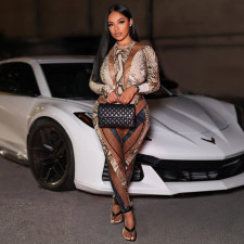 Snake Print Skinny Bodysuit Pants Suit DLSF-K25S77067