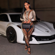 Snake Print Skinny Bodysuit Pants Suit DLSF-K25S77067