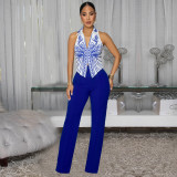 Print Sleeveless Tops Pants 2 Piece Set  BY-7452